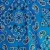 GK BIKETARD CHILD CHILD X-SMALL BLUE PAISLEY PRINT GYMNASTICS DANCE TANK SZ XS - Image 2