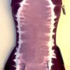 GK ICE FIGURE SKATE PURPLE TIE-DYE ADULT X-SMALL COTTON/SPANDEX TANK DRESS AXS