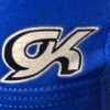 GK BIKETARD CHILD TODDLER BLUE CRUSHED VELVET N/S GYMNASTICS DANCE TANK TD NWT! - Image 4