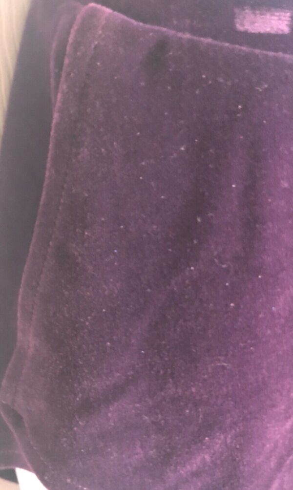 GK ELITE ICE SKATE SKIRT ADULT SMALL PURPLE VELVET PULL ON SKIRT Sz AS NWT! - Image 4