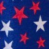 GK TANK ADULT SMALL ROYAL FOIL RED WHITE STARS GYMNASTICS DANCE CHEER LEOTARD AS - Image 2