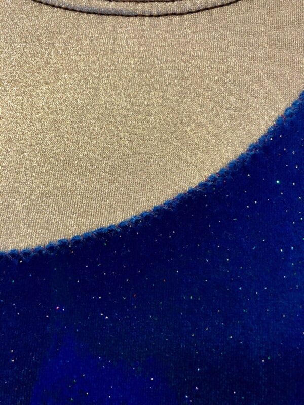 GK ELITE LgS LADIES SMALL ROYAL GLITTER VELVET SILVER GYMNASTIC DANCE LEOTARD AS - Image 3