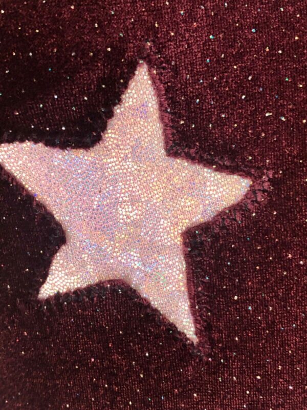 GK Elite LgSLV PLUM GLITTER VELVET ADULT SMALL PINK FOIL STARS Sz AS NWT - Image 2