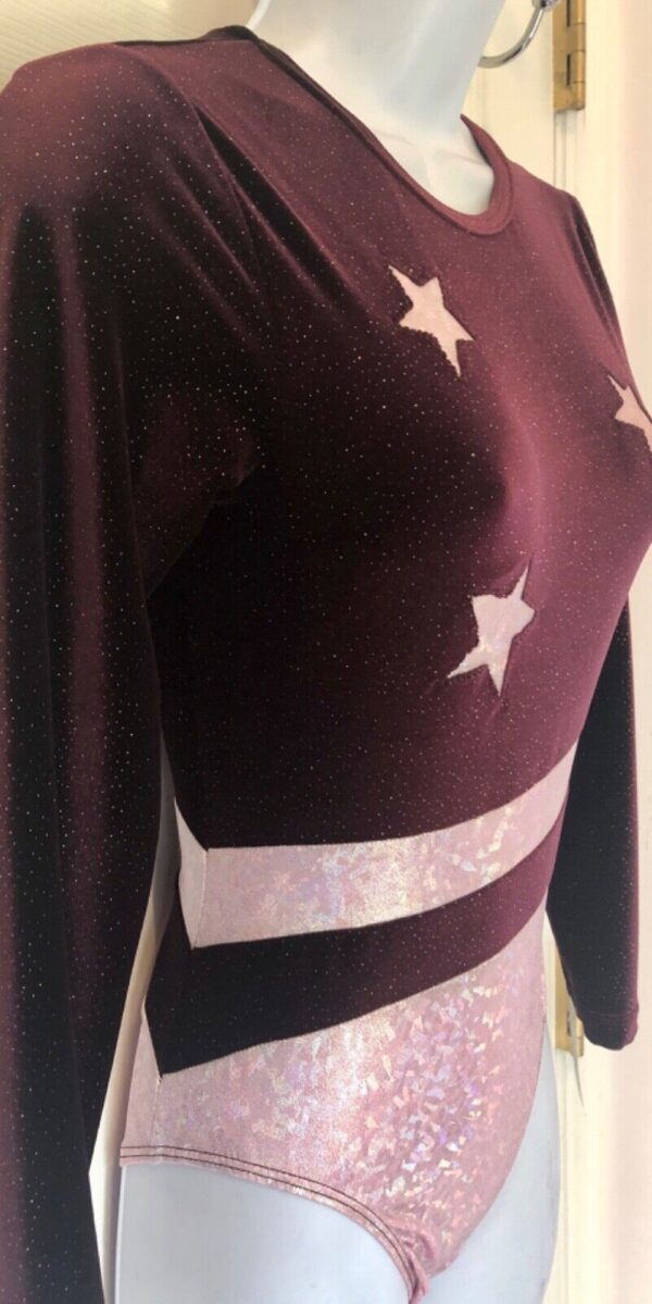 GK Elite LgSLV PLUM GLITTER VELVET ADULT SMALL PINK FOIL STARS Sz AS NWT - Image 3
