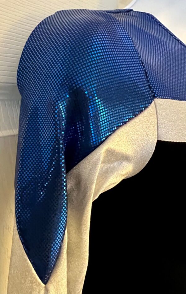 GK BLACK VELEVT ADULT SMALL LgSLV BLUE SILVER FOIL GYMNASTIC DANCE LEOTARD Sz AS - Image 4