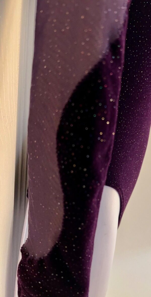 GK LgSLV PURPLE GLITTER VELVET MESH ADULT SMALL GYMNASTICS DANCE LEOTARD Sz AS - Image 4