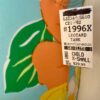 GK ISLAND GIRL CHILD X-SMALL BRIGHT FLORAL PRINT GYMNASTIC DANCE TANK LEOTARD XS - Image 6