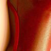 GK FESTIVE CINNAMINT FOIL ADULT SMALL RED VELVT GYMNASTS DANCE TANK LEOTARD AS - Image 2