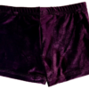 GK WORKOUT ADULT SMALL PURPLE VELVET CRYSTAL ACCENTS SHORTS CHEER DANCE GYMNAS S - Image 5