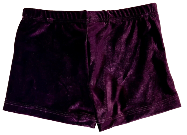 GK WORKOUT ADULT SMALL PURPLE VELVET CRYSTAL ACCENTS SHORTS CHEER DANCE GYMNAS S - Image 5