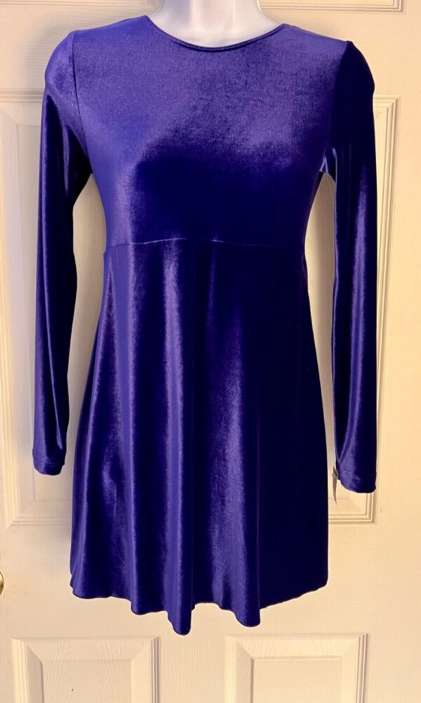 GK FIGURE/DANCE SKATE LgSLV ADULT SMALL PURPLE VELVET EMPIRE WAIST DRESS SZ S