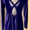 GK FIGURE/DANCE SKATE LgSLV ADULT SMALL PURPLE VELVET EMPIRE WAIST DRESS SZ S - Image 3