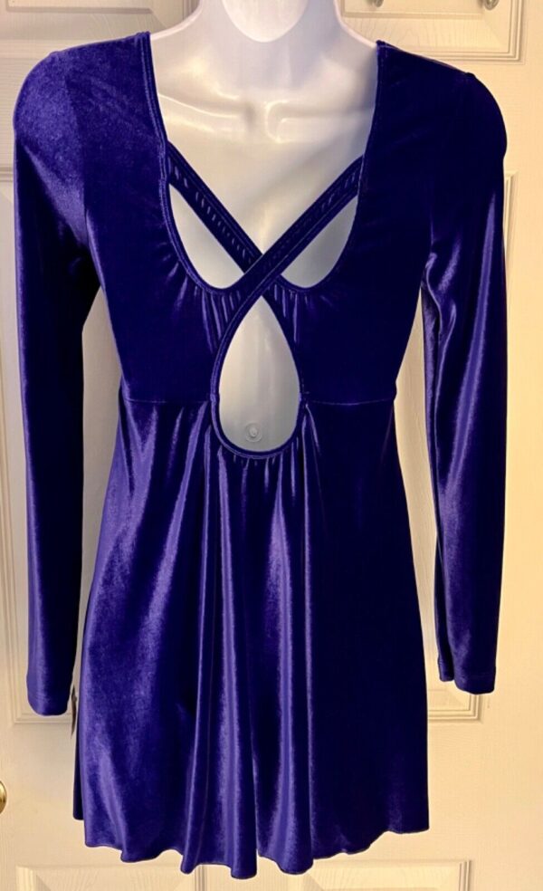 GK FIGURE/DANCE SKATE LgSLV ADULT SMALL PURPLE VELVET EMPIRE WAIST DRESS SZ S - Image 3