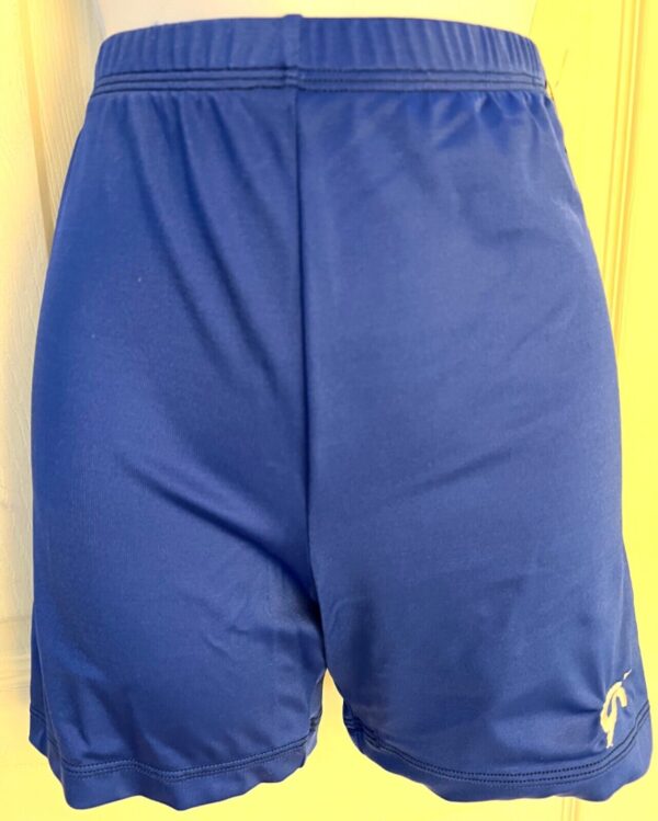 GK ADULT LARGE MINI WORKOUT SHORTS ROYAL NYLON/SPANDEX GYMNASTIC DANCE CHEER AL - Image 2