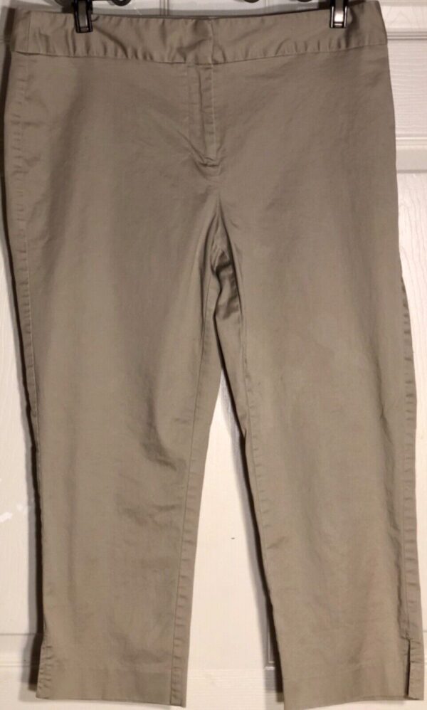 DONNA KARAN NYC LADIES SIZE 6 TAN CROPPED PANTS ZIP FRONT Sz 6 EUC!