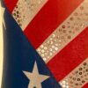 GK AMERICAN DREAM ADULT SMALL STARS STRIPES 1984 GYMNASTIC DANCE TANK LEOTARD AS - Image 3