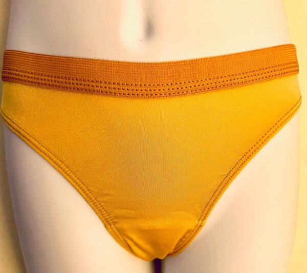 GK HIGH RISE HIGH CUT CHILD LARGE NYLON/SPANDEX BRIEFS #1411 NUDE Sz CL NWT!