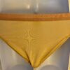 GK HIGH RISE HIGH CUT CHILD LARGE NYLON/SPANDEX BRIEFS #1411 NUDE Sz CL NWT! - Image 3