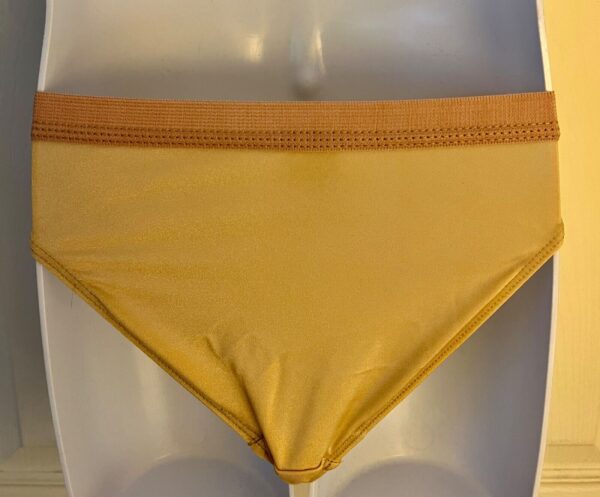 GK HIGH RISE HIGH CUT CHILD LARGE NYLON/SPANDEX BRIEFS #1411 NUDE Sz CL NWT! - Image 3