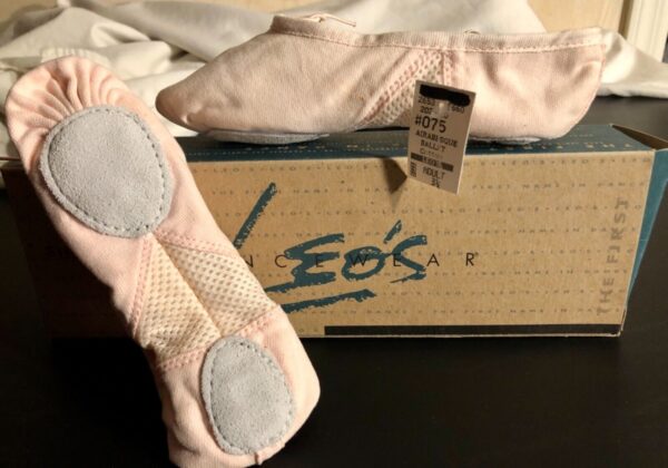 LEO'S BALLET FLAT #075 AIR-ABESQUE WOMENS SIZE 3.5 CANVAS PINK Sz 3.5 NEW IN BOX