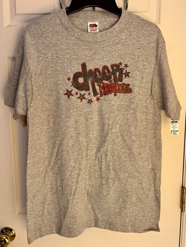 DURABLE  "CHEER PRINCESS" GRAPHIC ADULT MEDIUM T-SHIRT GRAY Sz AM NWT! - Image 3