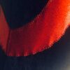 GK LgSLV LADIES SMALL NAVY VELVET RED FOIL STARS GYMNASTICS DANCE LEOTARD Sz AS - Image 4