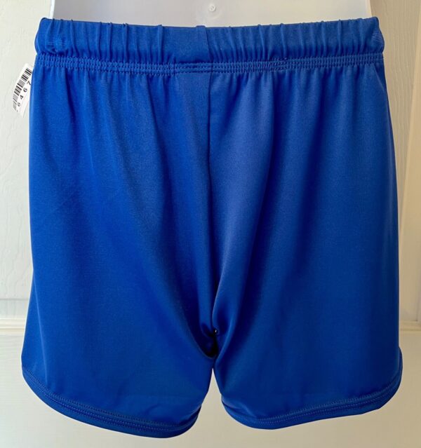 GK BOYS LARGE ROYAL GYMNASTICS RUNNING COMPETITION NYL/SPAN LONG SHORTS Sz CL - Image 7