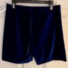 GK CHEER MICRO MINI WORKOUT ADULT LARGE ROYAL VELVET DANCE GYMNAST SHORTS Sz AL - Image 7