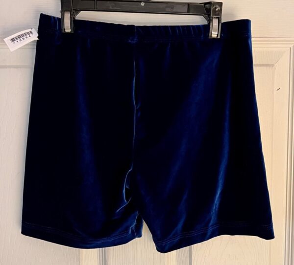 GK CHEER MICRO MINI WORKOUT ADULT LARGE ROYAL VELVET DANCE GYMNAST SHORTS Sz AL - Image 7