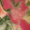 GK ICE FIGURE SKATE ADULT SMALL MATTE TRICOT WATERCOLOR FLORAL PRINT DRESS AS - Image 4