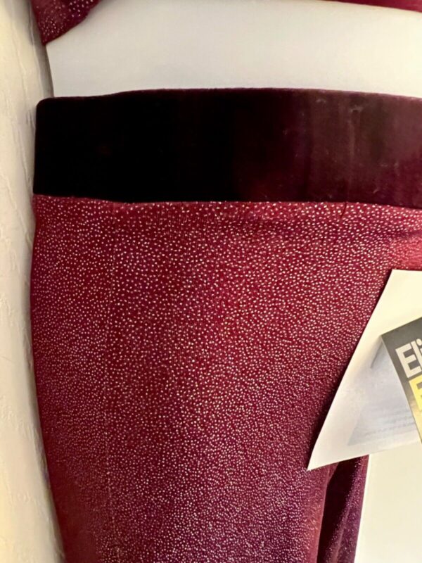 GK DANCE JAZZ PANTS CHILD LARGE BURGUNDY FOIL VELVET WAISTBAND HIP HUGGERS Sz CL - Image 4