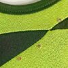 UNDER ARMOUR GK DEVOTION LIME   GYMNASTICS DANCE TANK LEOTARD AS - Image 3