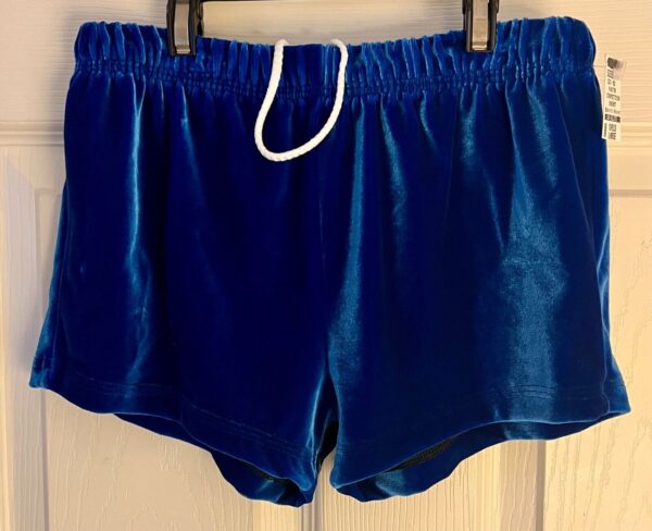 GK BLUE VELVET CHILD LARGE MICRO MINI DANCE GYMNAST CHEER COMPETITION SHORTS L - Image 3