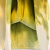 GK GREEN & WHITE TYE-DYE LADIES SMALL SLVLS COTTON/STRCH FIGURE SKATE DRESS AS - Image 4