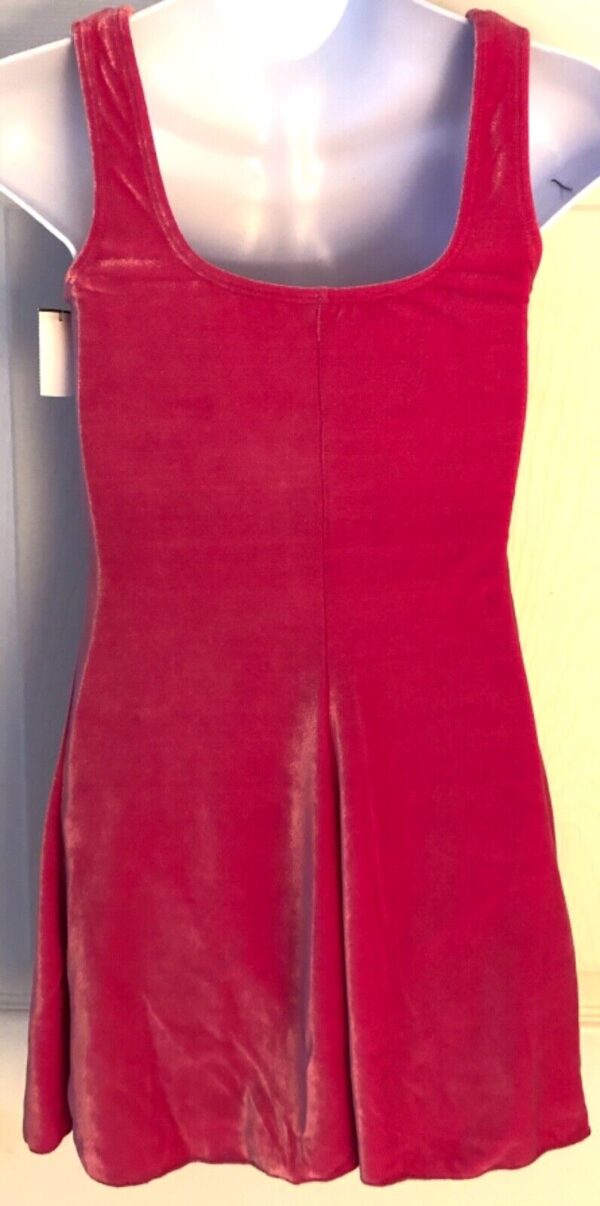 GK ICE SKATE GIRLS LARGE PEONY VELVET SLVLS A-LINE DRESS Sz CL WAS $77.00 NWT! - Image 5