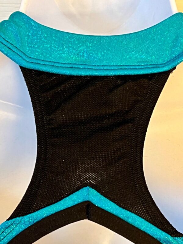 GK CHEER LADIES MEDIUM BLACK N/S BLUE FOIL BLACK MESH HALTER DANCE TOP Sz AM - Image 7