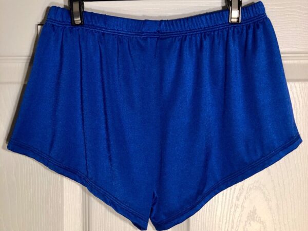 GK Elite Mens Blue Gymnastic Competition Running Shorts Size AS - Image 2