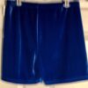 GK CHEER DANCE GYM WORKOUT SHORTS ADULT X-LARGE ROYAL VELVET DANCE Sz AXL NWT! - Image 4