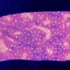 WAS $75.95 NWT! GK ELITE PURPLE VELVET ASYMMETRICAL TANK FIGURE SKATE DRESS AM - Image 5