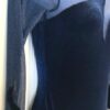 GK LONG SLEEVE LADIES SMALL SAPPHIRE VELVET GLITTER MESH DANCE LEOTARD AS - Image 3