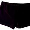 GK WORKOUT SHORTS ADULT X-SMALL MICRO MINI EGGPLANT VELVET CHEER DANCE GYMNAS XS - Image 5