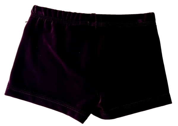 GK WORKOUT SHORTS ADULT X-SMALL MICRO MINI EGGPLANT VELVET CHEER DANCE GYMNAS XS - Image 5