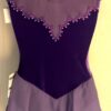 GK ICE FIGURE SKATE PURPLE VELVET ADULT SMALL SLVLS MESH YOKE FOIL JA DRESS AS - Image 8