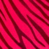 GK CORAL WAVERUNNER ADULT X-SMALL MAGENTA TANK GYMNASTICS TANK LEOTARD Sz AXS - Image 3