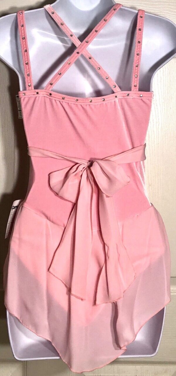 GK ICE FIGURE SKATE ADULT SMALL PINK VELVET CAMISOLE SHIRRED JA DRESSS AS NWT! - Image 3