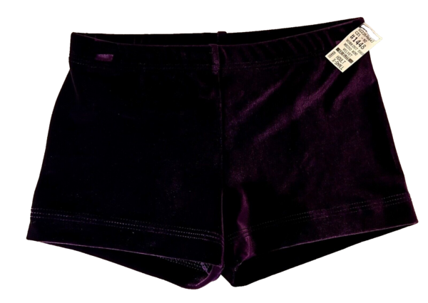 GK WORKOUT SHORTS ADULT X-SMALL MICRO MINI EGGPLANT VELVET CHEER DANCE GYMNAS XS - Image 4