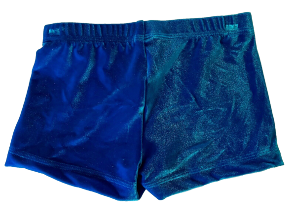 GK CHEER ADULT X-SMALL MICRO MINI WORK SHORTS TURQUOISE VELVET GYMNASTS DANCE XS - Image 3