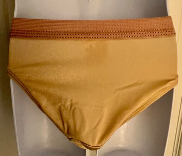 GK HI-CUT NYLON/SPANDEX CHILD SMALL #1411SO GYMNASTICS DANCE BEIGE BRIEF Sz CS - Image 2