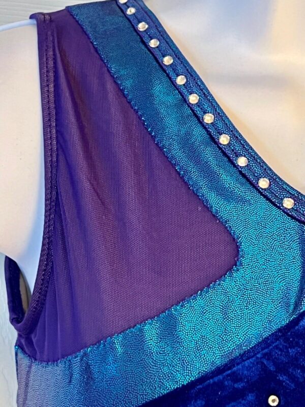 GK ICE SKATE SLVLS PURPLE VELVET ADULT SMALL FOIL TRIM MESH INSERTS JA DRES AS - Image 2