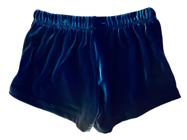 GK BLUE VELVET CHILD LARGE MICRO MINI DANCE GYMNAST CHEER COMPETITION SHORTS L - Image 2